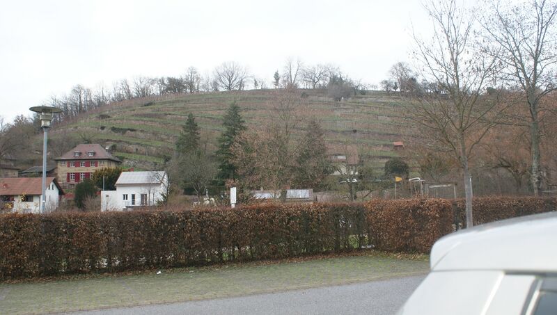 Datei:Weinberge in Maulbronn.JPG