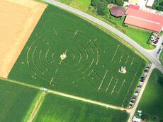 Luftbild: Maislabyrinth Eutingen 2012
