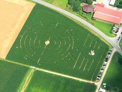 Luftbild: Maislabyrinth Eutingen 2012