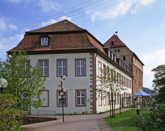 Graevenitzsches Schloss v.Norden.jpg