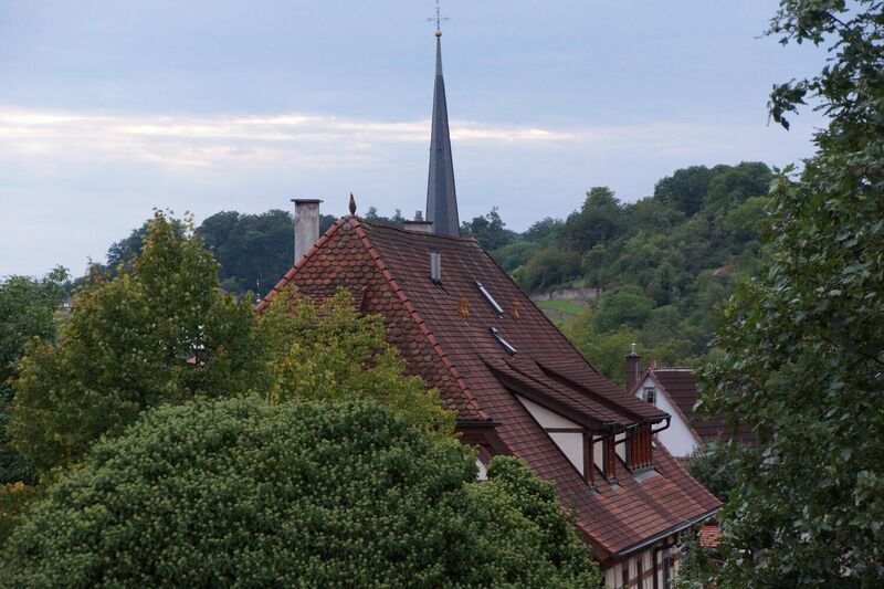 Datei:GHV Schaf-BlickvomDGFenster3.jpg