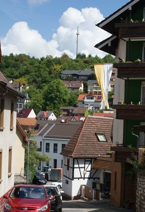 Ersingen Blick zum Sendeturm.jpg
