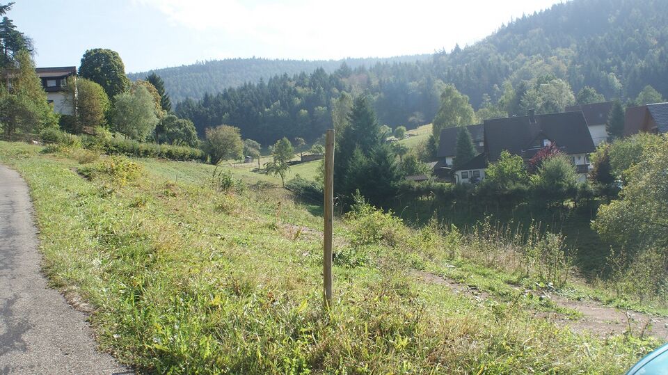 Datei:Gaistalwiesen.JPG