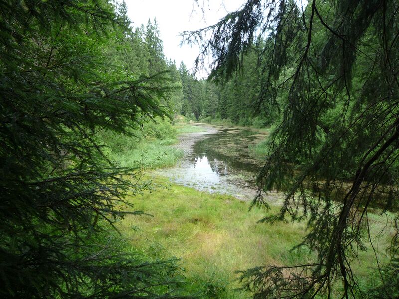 Datei:Poppeltal-Poppelsee.jpg