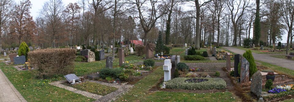 Datei:2022-03-29 Illingen Waldfriedhof Reihengrabfelder.jpg