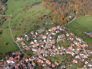 Schwann3.jpg