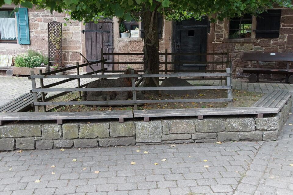 Datei:GHV Schaf-BaummitSitzbankvorMuseum.jpg