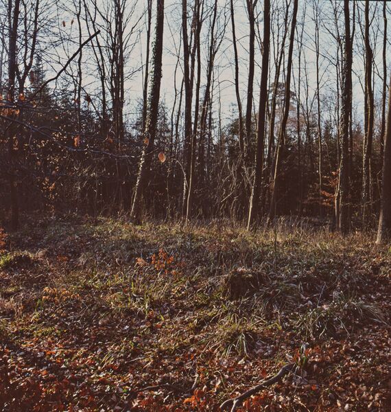 Datei:Mittelsberg.jpg