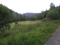 Blick von Eyachmühle ins Eyachtal, flussaufwärts