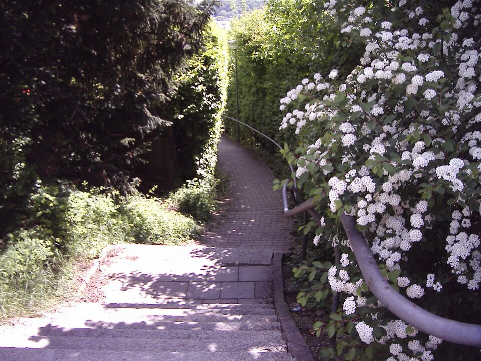 Datei:Kurfürstenstraße.jpg