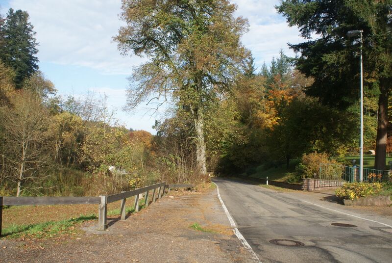 Datei:Straße in Richtung Marxzell.jpg