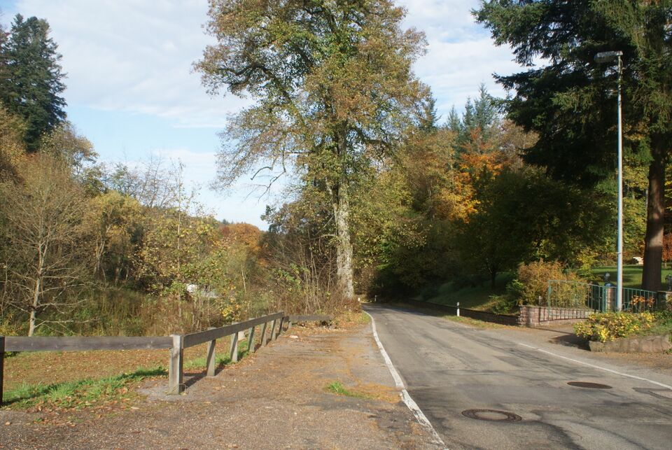 Datei:Straße in Richtung Marxzell.jpg