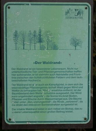 Naturpfad Rotensol Der Waldrand.jpg
