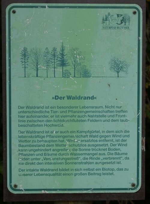 Datei:Naturpfad Rotensol Der Waldrand.jpg