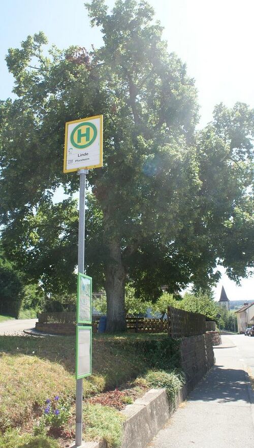 Datei:Haltestelle Linde mit Baum.JPG