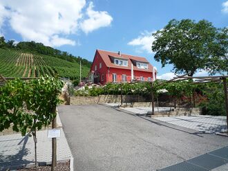 Sternenfels-Weinstube-am-Schlossberg.jpg