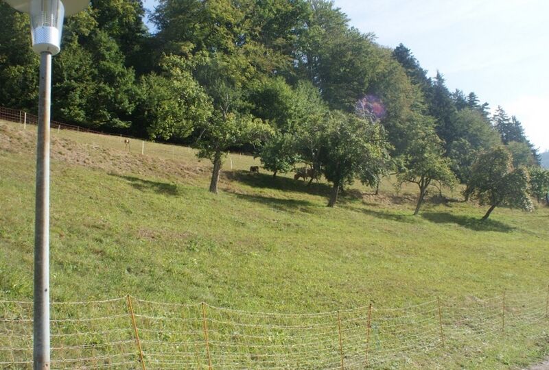 Datei:Streuobstwiesen im Gaistal.jpg