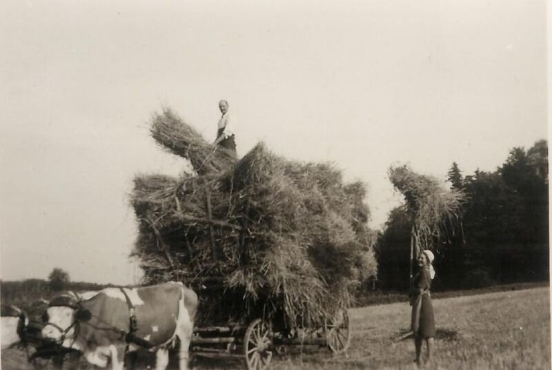 Datei:GHV Erinnerungen Schafhof10.jpg