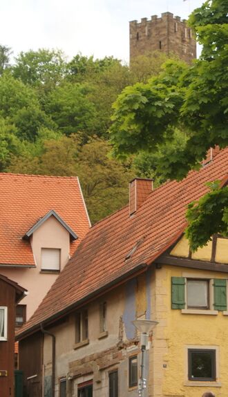 Blick zum Schloßberg Sternenfels.JPG