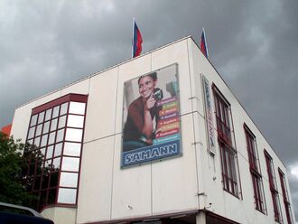 VAI 2007 Saemann 1.jpg