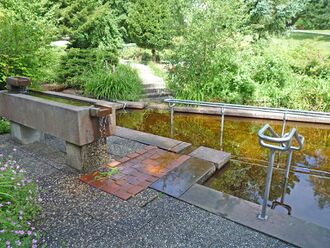 Enzkloesterle-Kurpark-Kneipp-Becken.jpg
