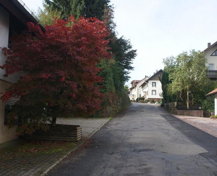 Datei:Hindenburgstraße Neusatz.jpg