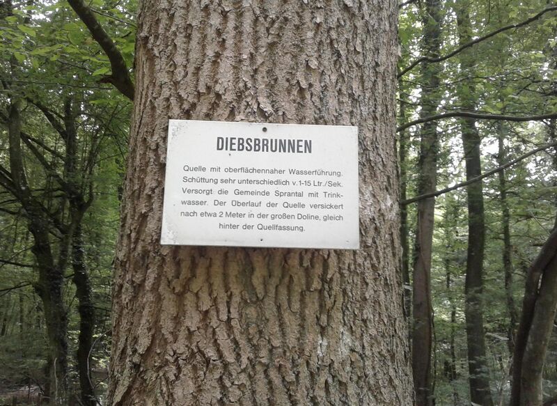 Datei:Diebsbrunnen.jpg