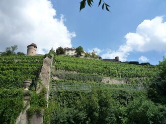 Vaihingen-Schloss-.jpg
